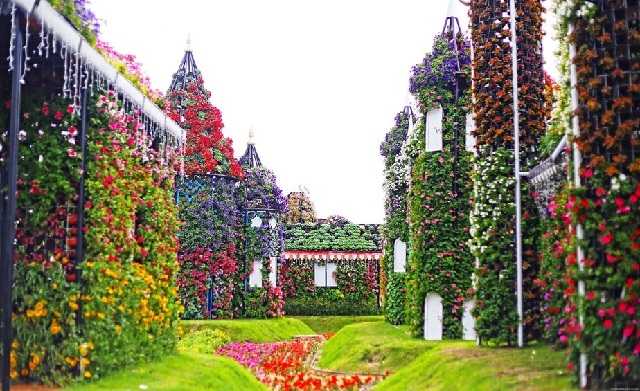 Miracle Garden: Flora & Fauna tour from Dubai with Gray Line