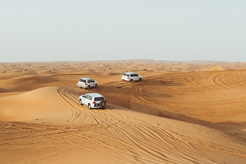 Desert Safari 4x4 with BBQ Dinner from Dubai with Gray Line