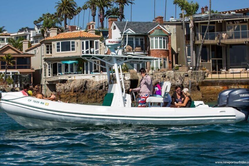 Private Dolphin and Whale Watching Tour in Newport Beach