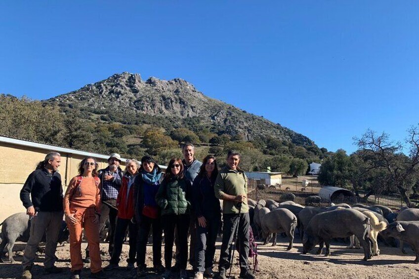Organic Iberian Ham, farm visit and tasting
