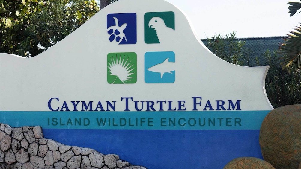 Cayman Turtle Farm Island Wildlife Encounter in Cayman Islands