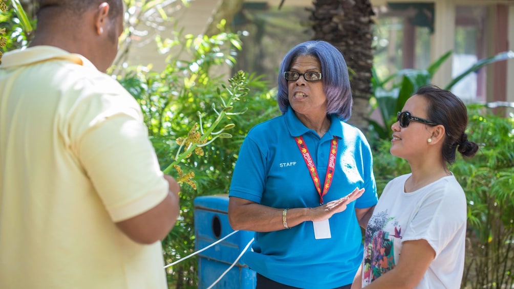 talking to a guide at the Cayman Islands