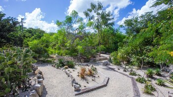 Full Island Tour