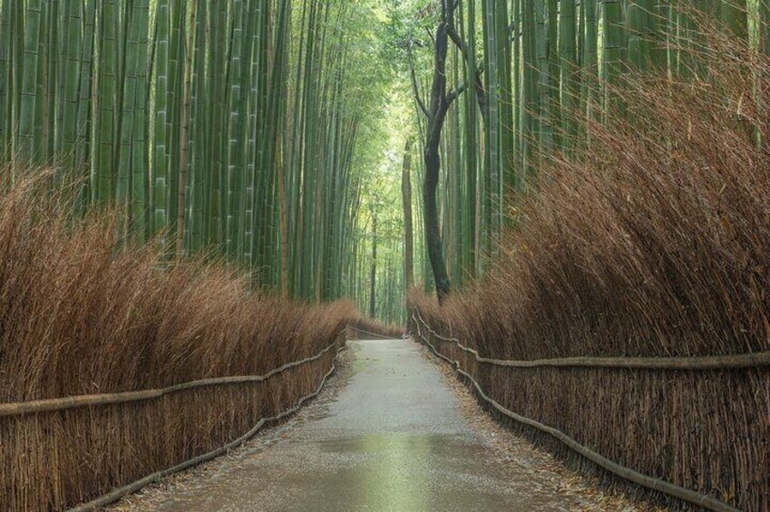 10 Must-see Spots in Kyoto One Day Private Tour (up to 7 people)