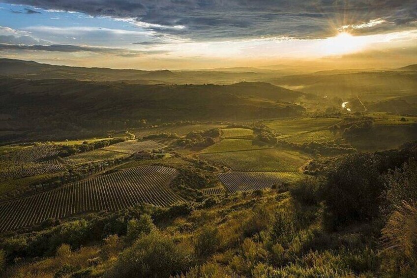 Brunello-Montalcino vineyards