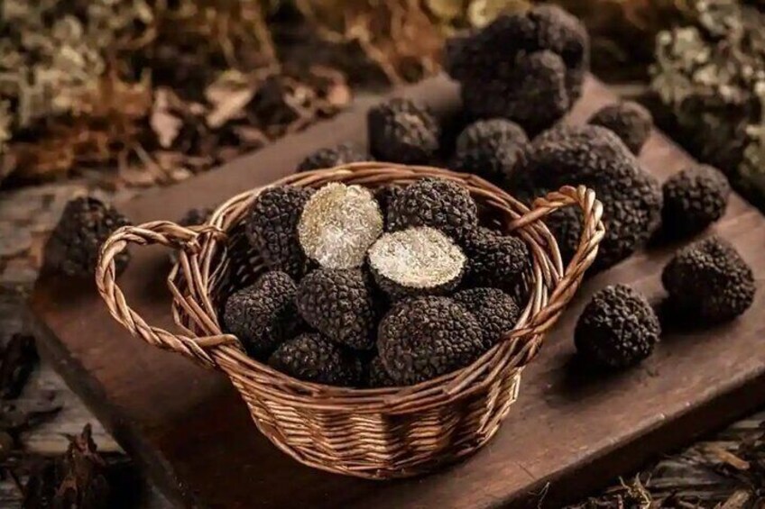 Truffle Hunting and tasting