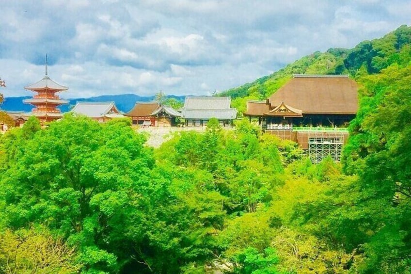 Full-Day Private Guided Tour to Kyoto Palaces and Temples