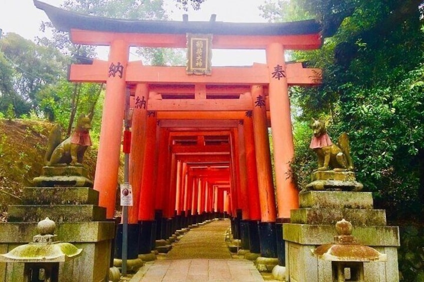 Full-Day Private Guided Tour to Kyoto Palaces and Temples