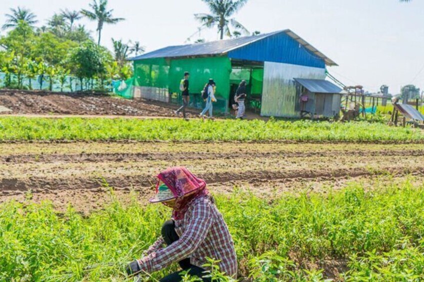 Afternoon Cooking Class & Village Tour in Siem Reap
