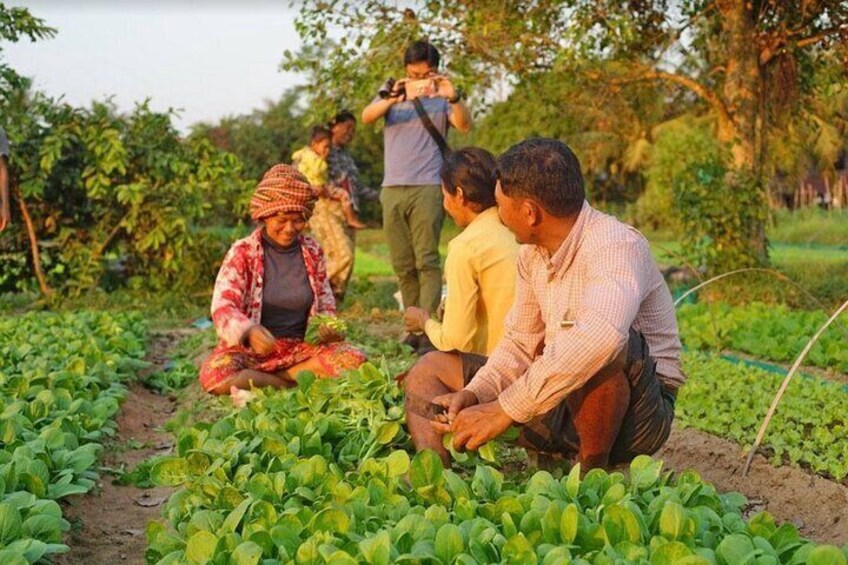 Evening Cooking Class & Village Tour in Siem Reap