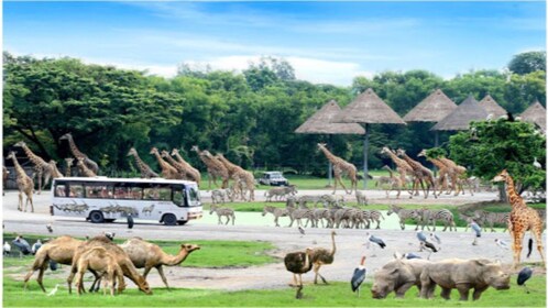 曼谷野生動物世界與海洋公園