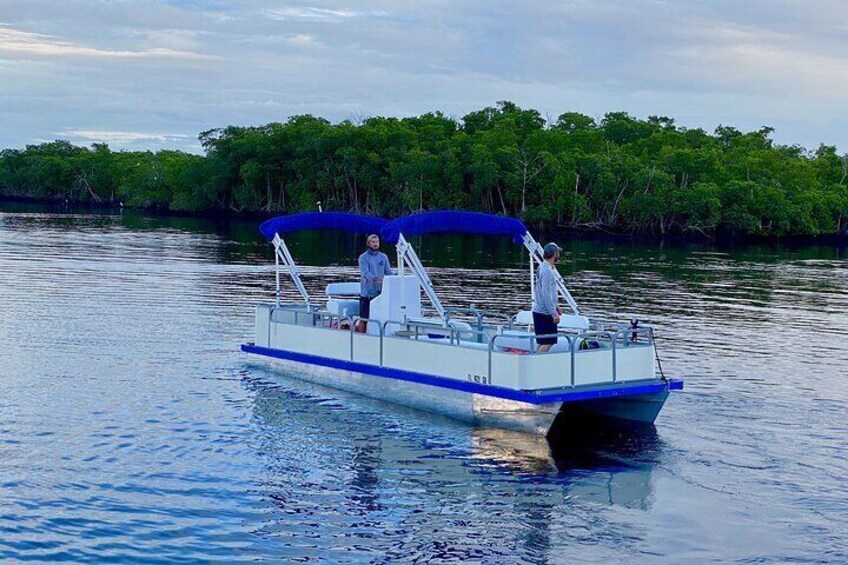 Dolphin and Manatee Boat Tour in 10,000 Islands NWR