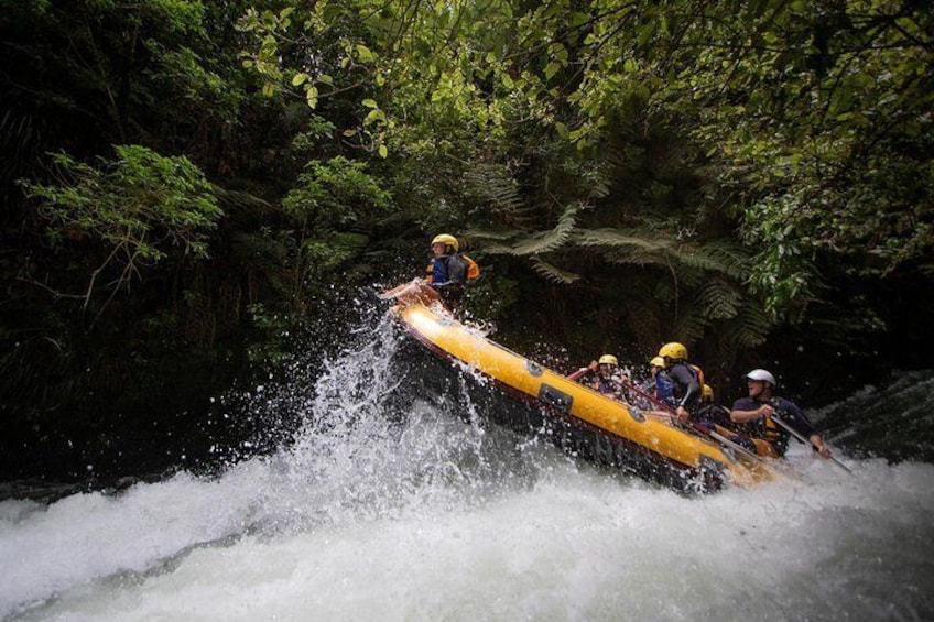 Rotorua Rafting - Kaituna River White Water Rafting