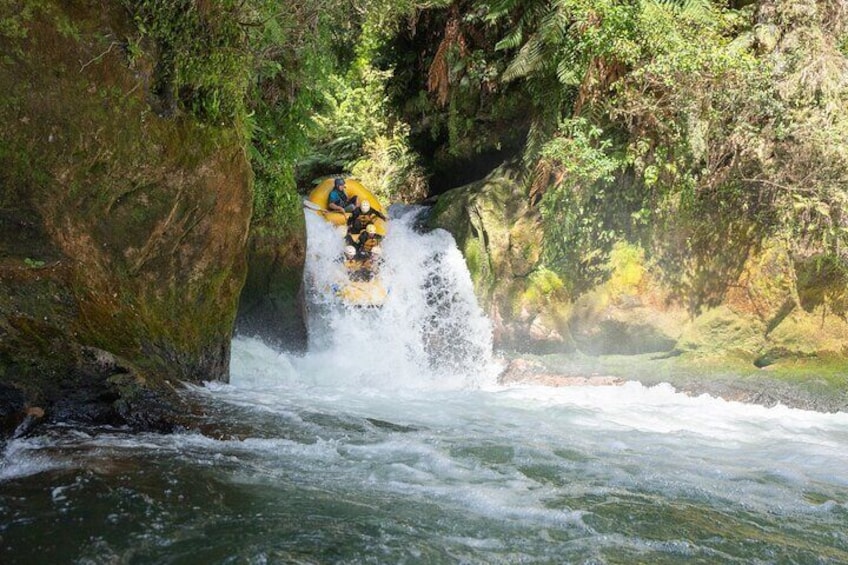 Rotorua Rafting: Kaituna River White Water Rafting 