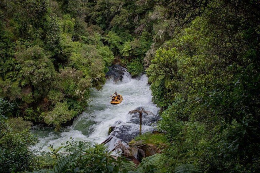 Rotorua Rafting - Kaituna River White Water Rafting
