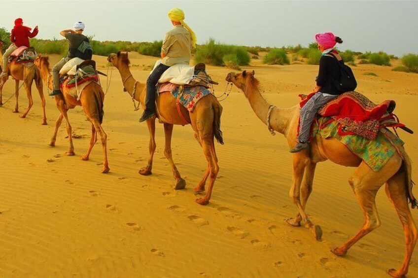 Camel Riding