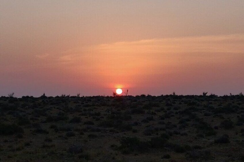 Half Day Overnight Desert Tour (Non Touristic)