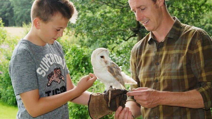 Private Family Bird of Prey Experience in Carlisle