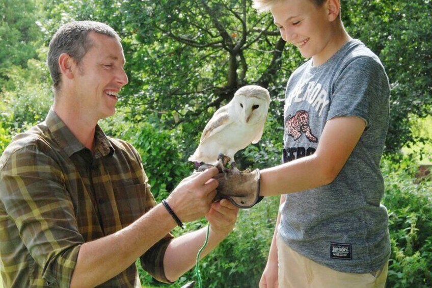 Private Family Bird of Prey Experience in Carlisle