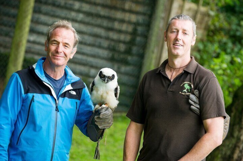 Private Family Bird of Prey Experience in Carlisle