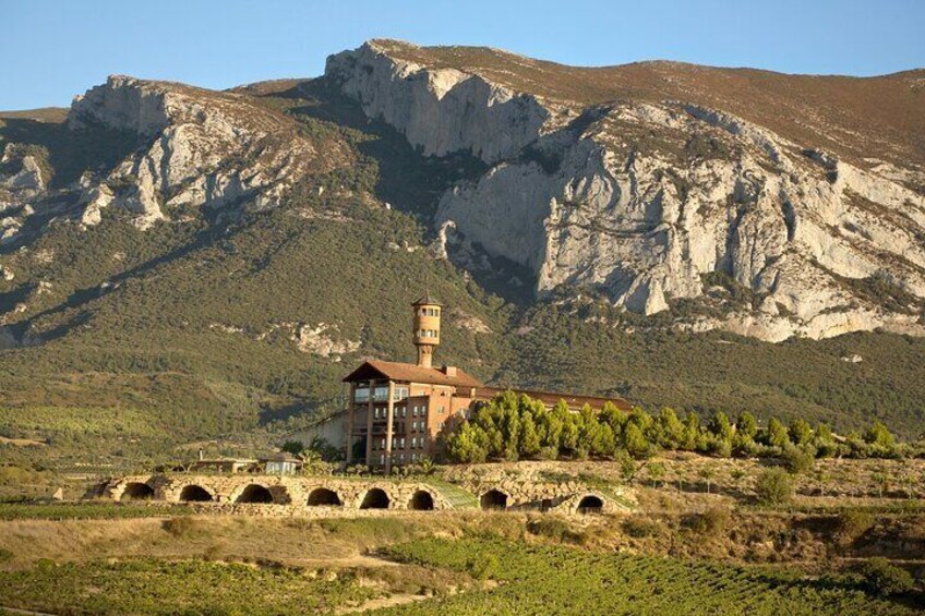 Rioja Wine Tour: 2 Wineries Visit with Tasting from San Sebastian