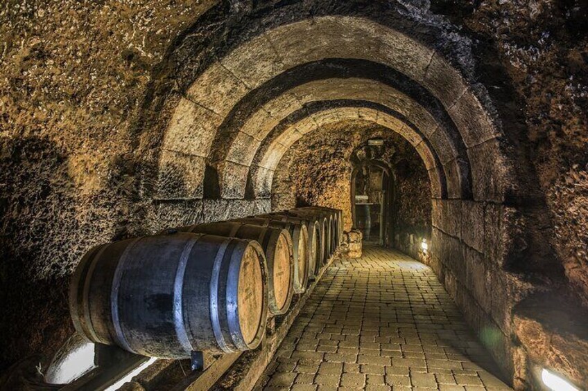 Rioja Wine Tour: 2 Wineries Visit with Tasting from San Sebastian