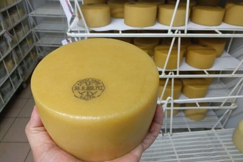 Idiazabal Cheese tour from San Sebastian