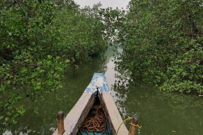 Sharavathi backwaters boating