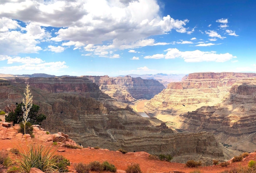 Multi-Stop Grand Canyon West Rim Bus Tour