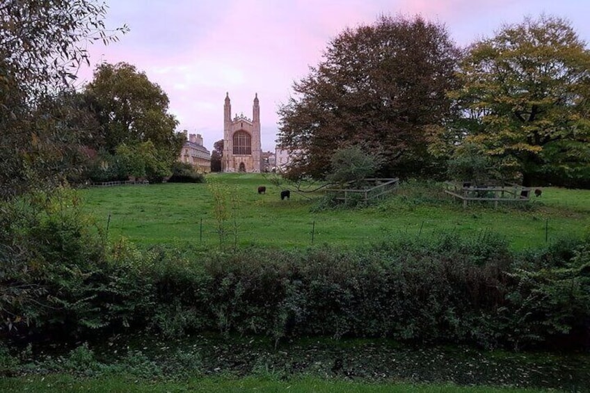 Walking Tour of the Sights and Highlights of Cambridge