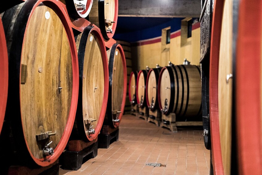  Valpolicella wine experience at an exclusive estate