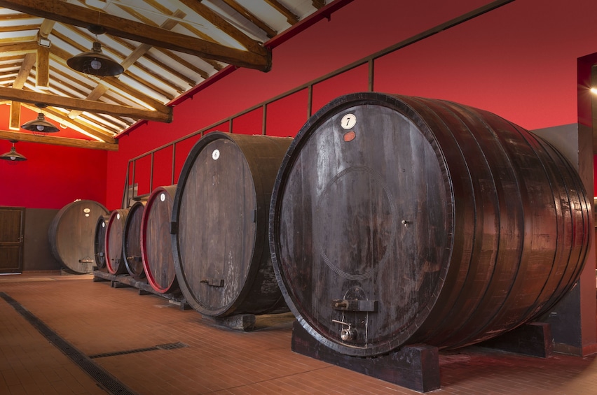 Tour & tasting of Balsamic Vinegar of Modena at the cellar