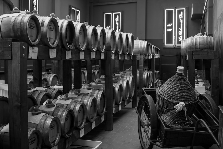 Tour & tasting of Balsamic Vinegar of Modena at the cellar