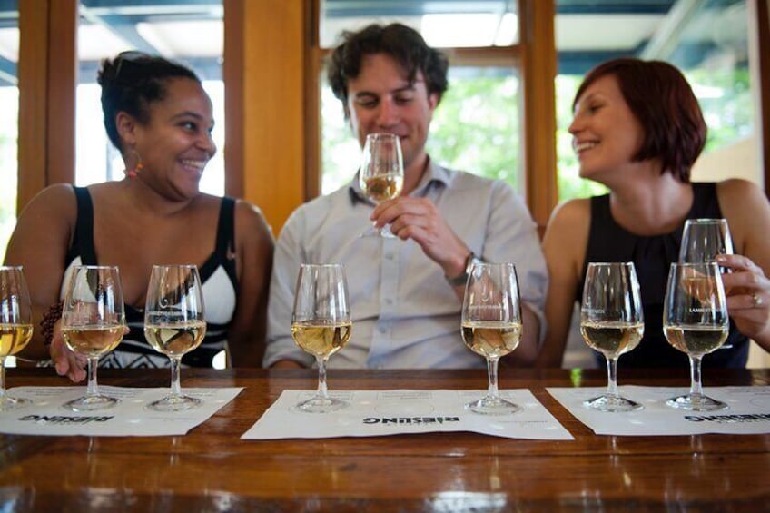 Enjoy a unique wine tasting experience
