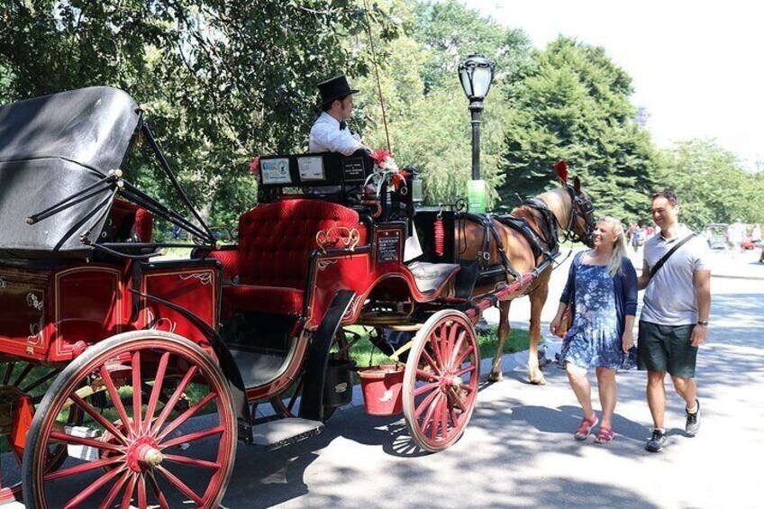 Central Park Horse Carriage Ride with photo stop (45 min)