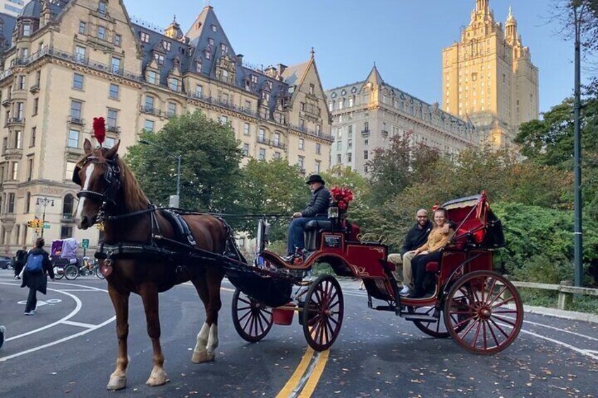 Central Park Horse Carriage Ride with photo stop (45 min)