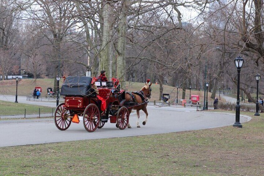 Central Park Horse Carriage Ride with photo stop (45 min)