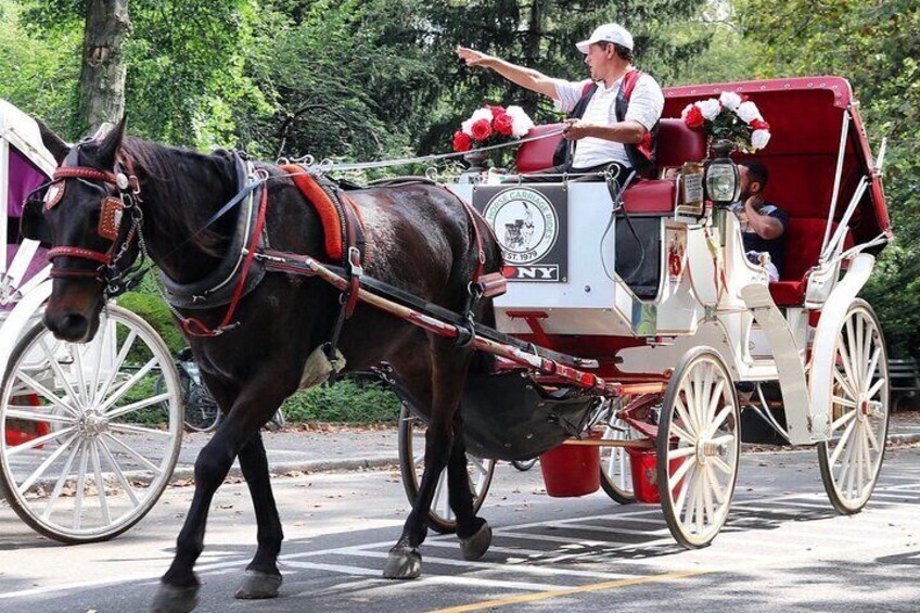 Central Park Horse Carriage Ride with photo stop (45 min)