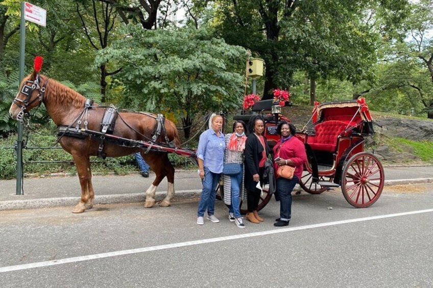 Central Park Horse Carriage Ride with photo stop (45 min)