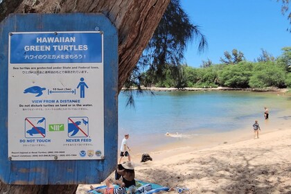 ทัวร์ส่วนตัวแบบกำหนดเองพร้อมการดำน้ำตื้น