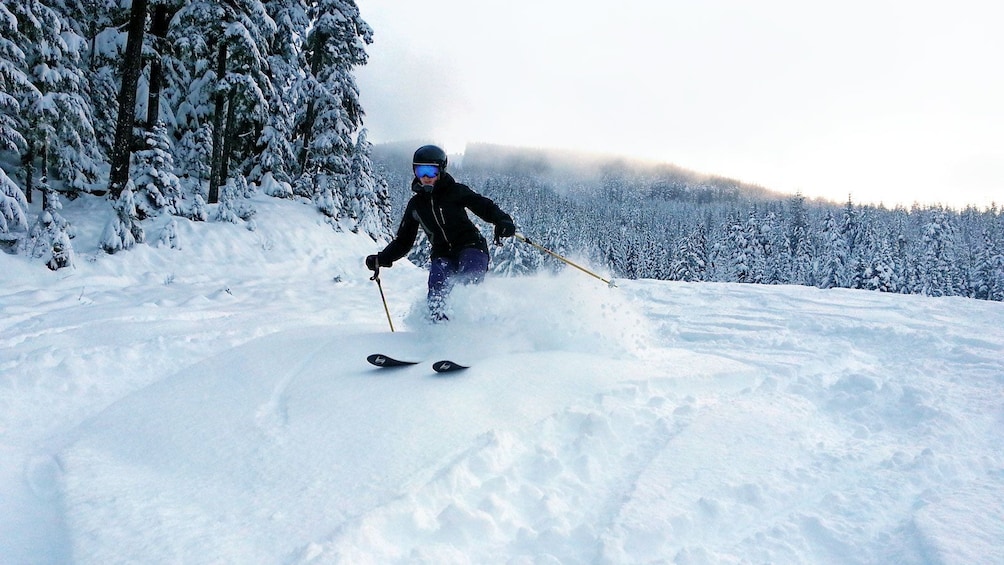 Show item 5 of 7. speeding skier kicking up snow in Whistler