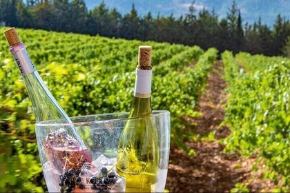 Bekaa Valley Wine Tour: Savour Lebanon's Finest