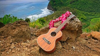 Full-Day Private Tour of Hilo Bay & Volcanoes National Park