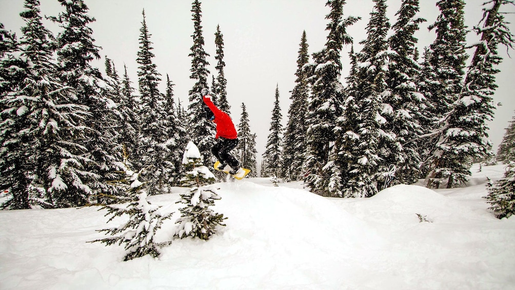 Show item 4 of 6. snowboarder jumping into the air in Whistler