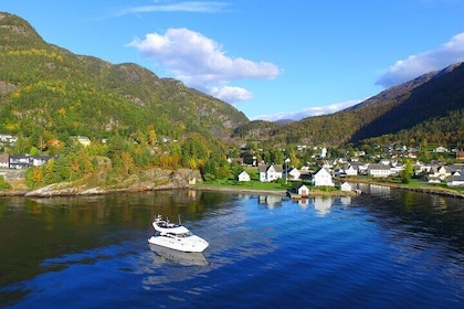 Bergen - Folgefonna Fjord + Glacier private cruise