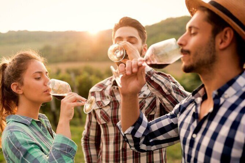 All-inclusive Morning Wine Tour in Orange