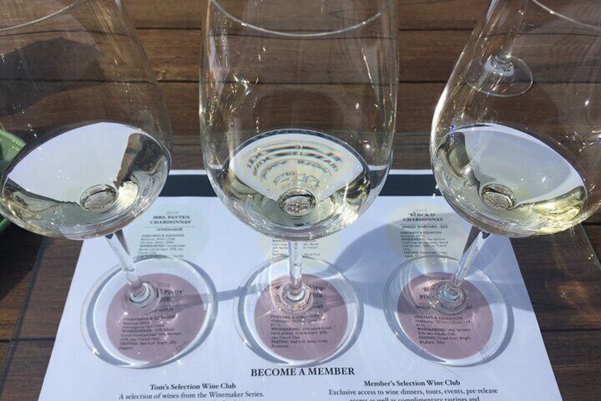 Wine tasting Swinging Bridge Orange wines