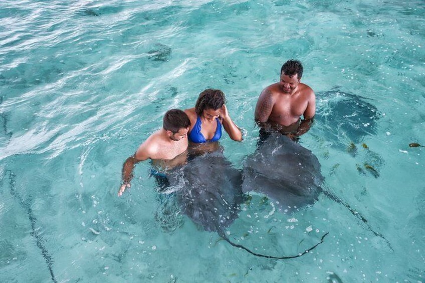 Private Bora Bora Snorkeling Cruise with Optional Vegetarian Lunch on the Beach