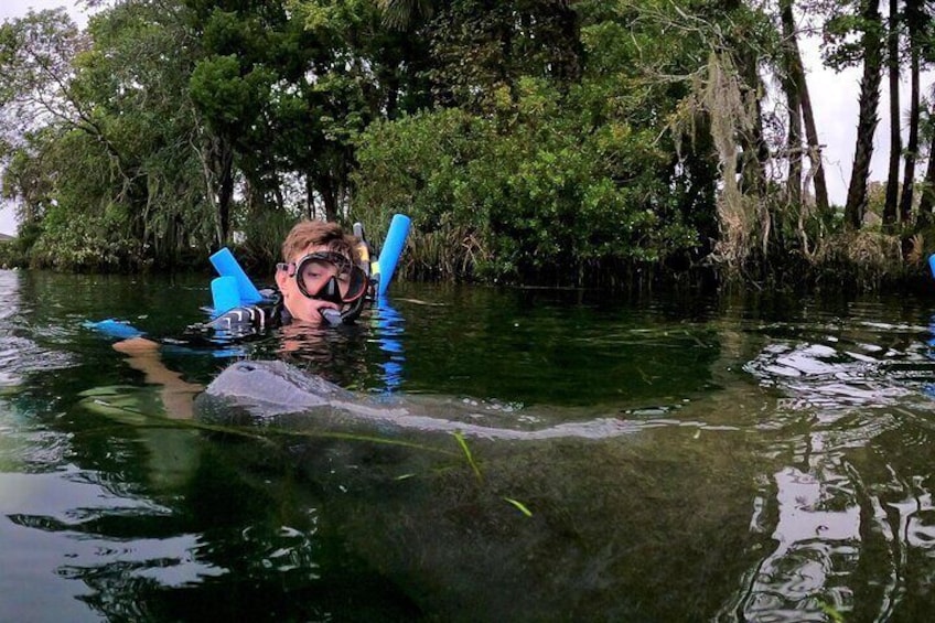 Florida Manatee Adventure, Everglades Style Airboat, Wildlife Park & Transport