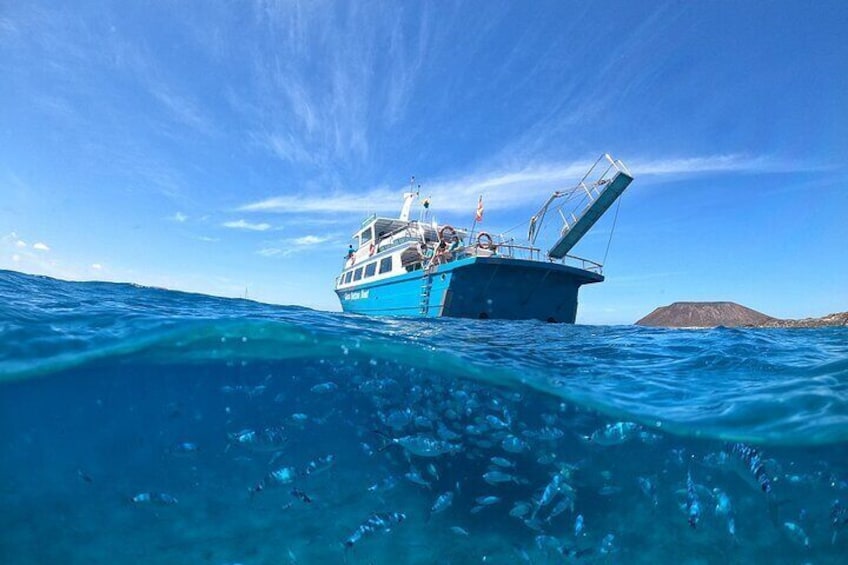 Visit Lobos Island with Snorkel Activity from Corralejo, Fuerteventura